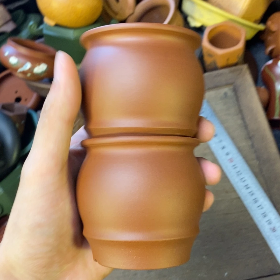 两个vvvvvvvvvvvvvvvvvvvv