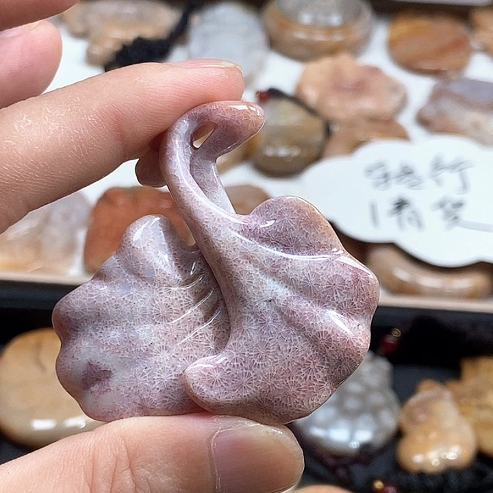 颈饰未镶嵌硅化珊瑚（珊瑚玉）