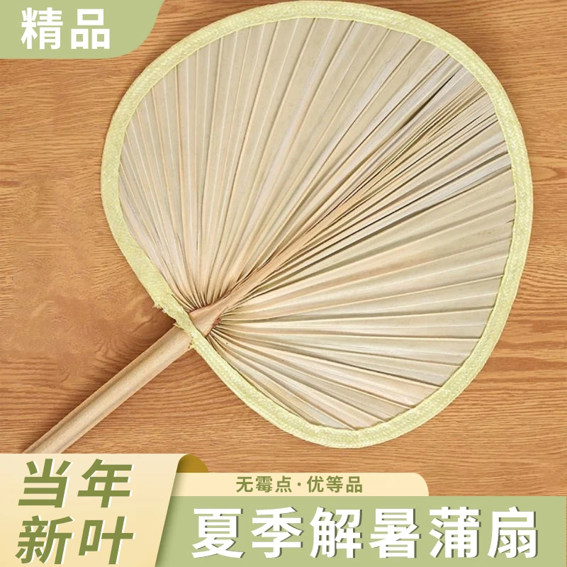 蒲扇老式大蒲扇夏季儿童宝宝竹编扇子夏天手摇手工编织芭蕉古风扇