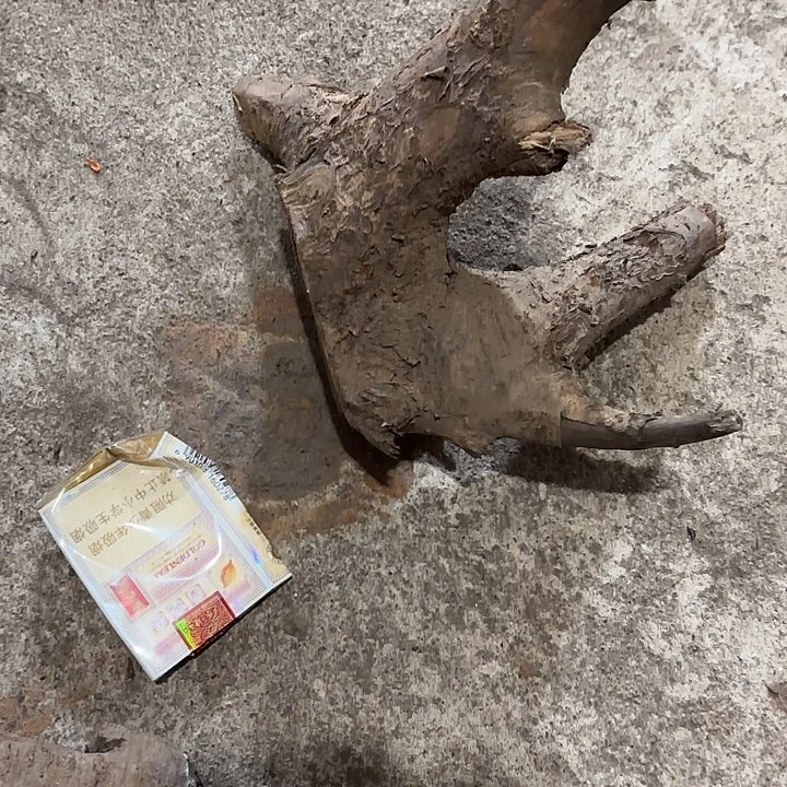 金丝楠金丝楠木的制作工艺