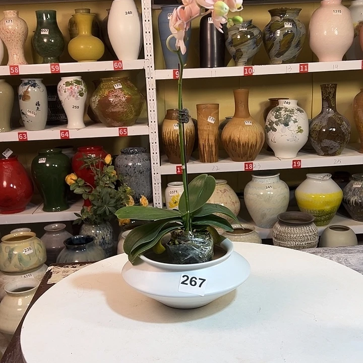 白泥花瓶高10口14。267