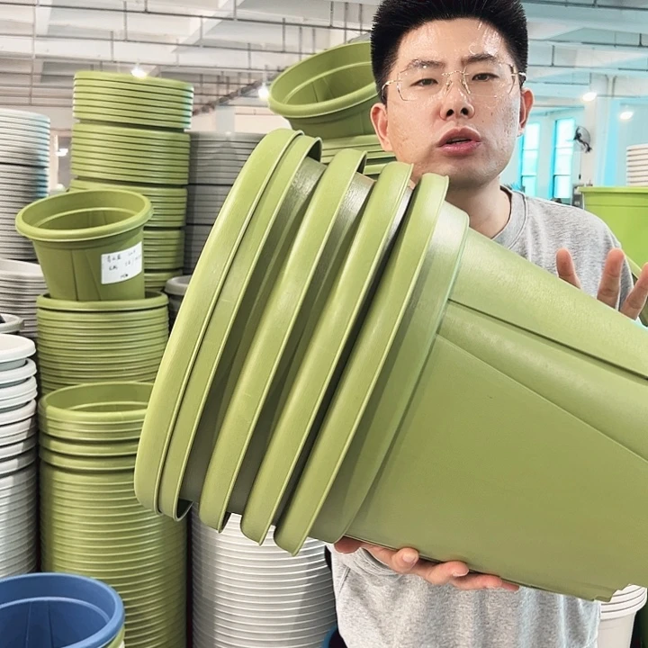 正品青山口40高34果绿5只无托