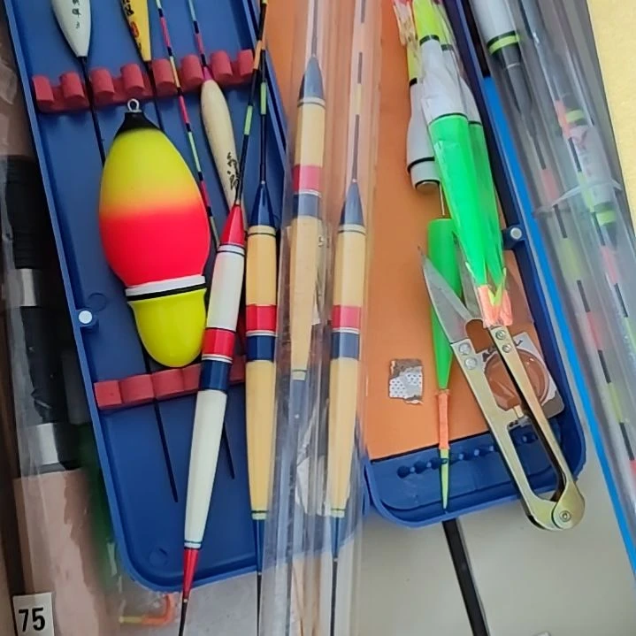 电子浮漂随机发4支