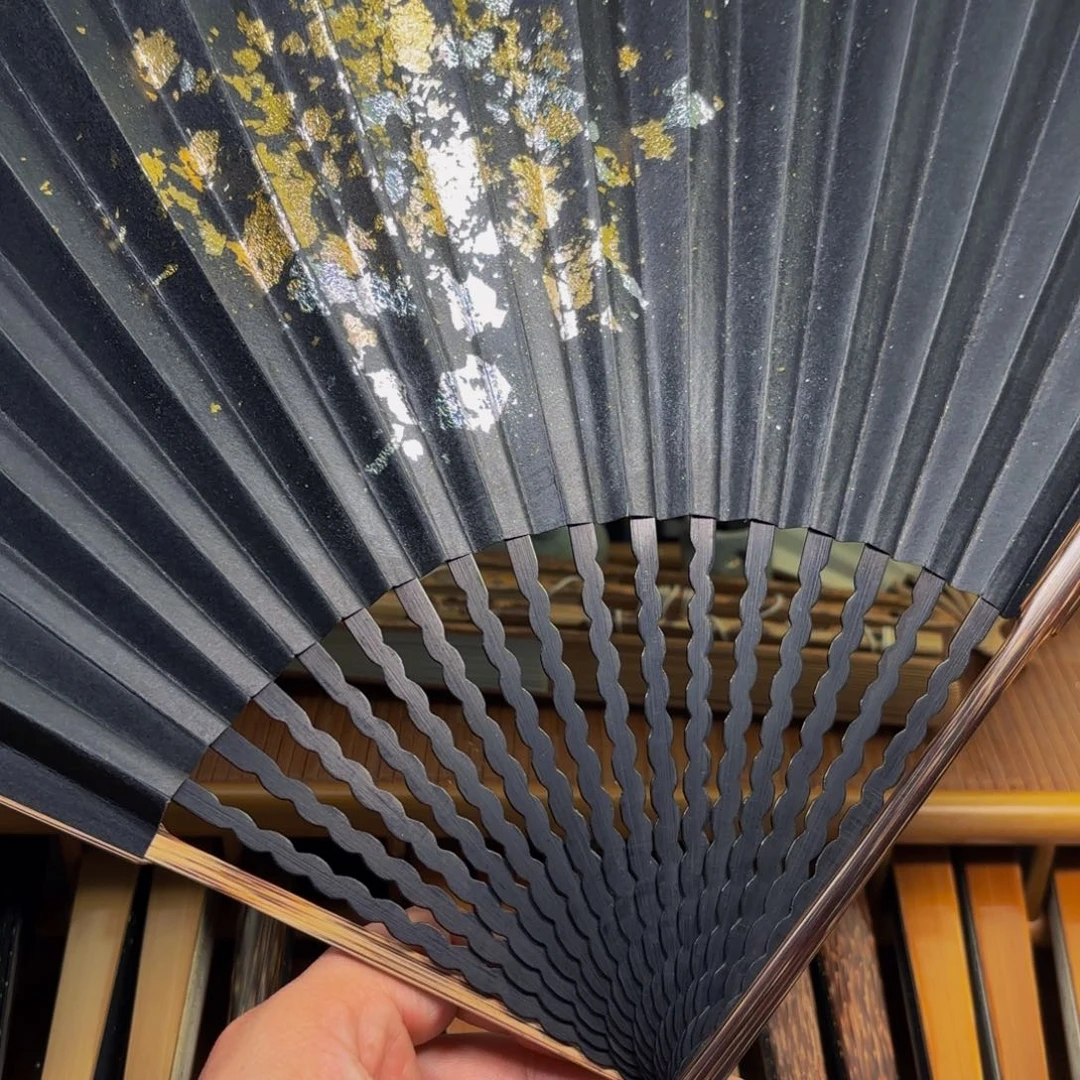 扇子爆炸金龙鳞棕竹