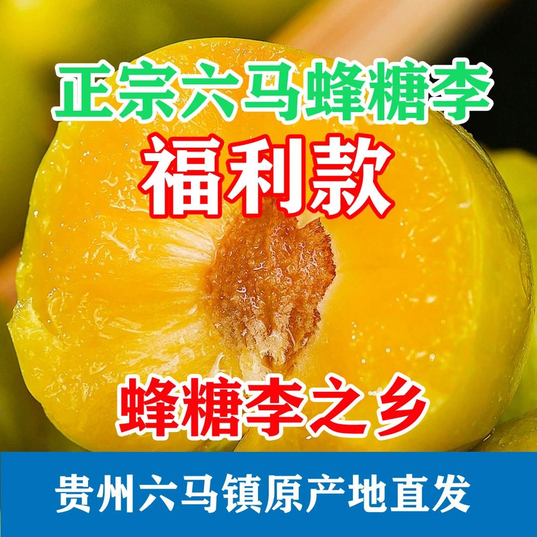 5斤正宗贵州六马蜂糖李(大小果混合装)新鲜现摘现发 蜂糖李之乡