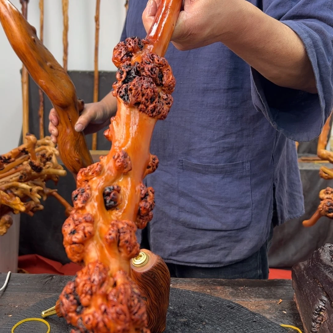 黑果木其他心****）黑果木311