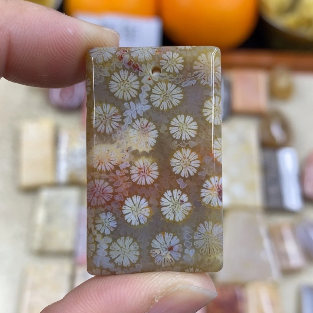 硅化珊瑚（珊瑚玉）A529未镶嵌