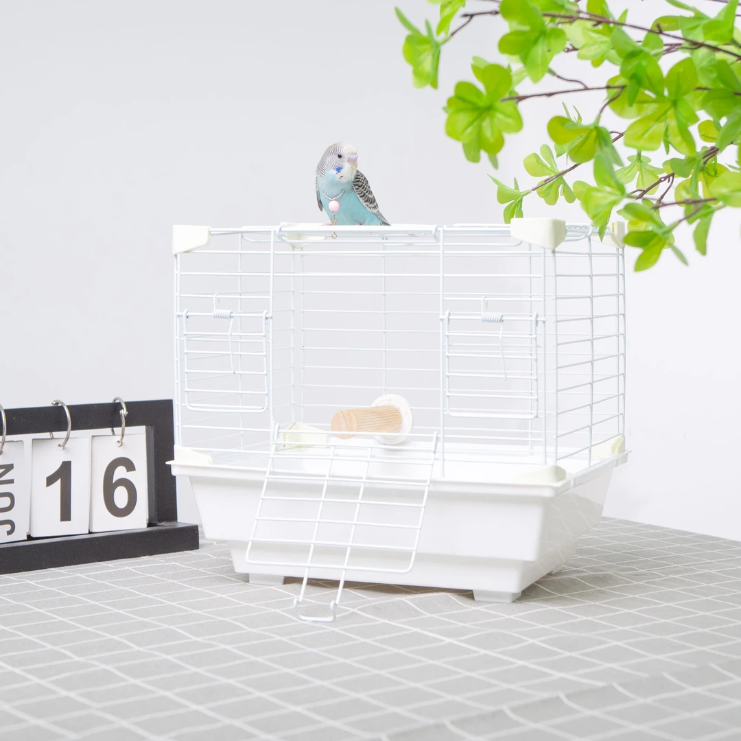（新款鹦鹉笼）卡扣笼门鹦鹉不易丢配件齐全易携带好出片