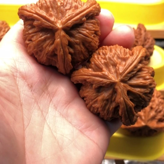 微***笑核桃核桃咯核桃核桃