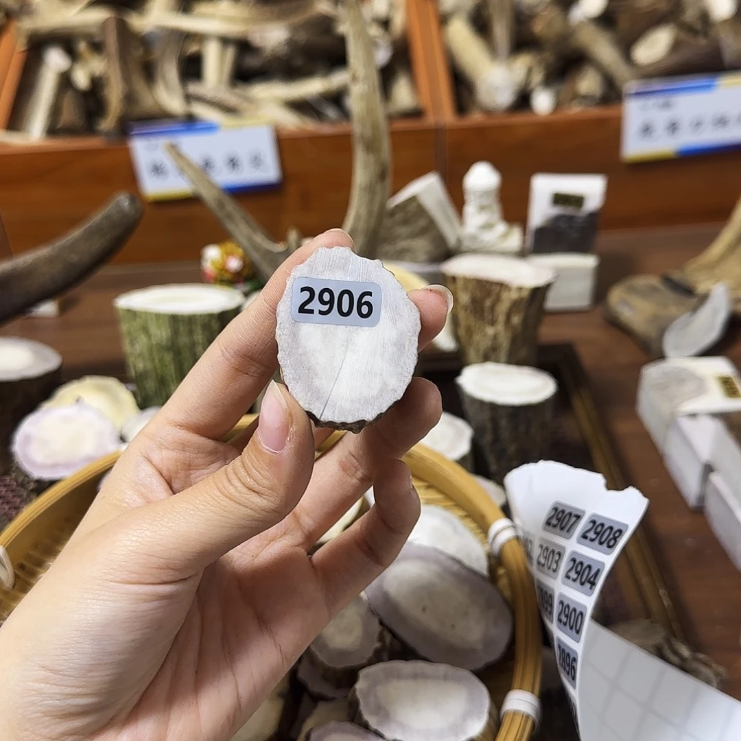 手串/手链鹿骨2906片