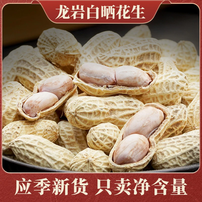 【现货顺丰次日达】龙岩水煮白晒花生带壳口感硬韧熟新鲜福建特产送礼佳品咸干休闲零食品2024新货 500g/1000g