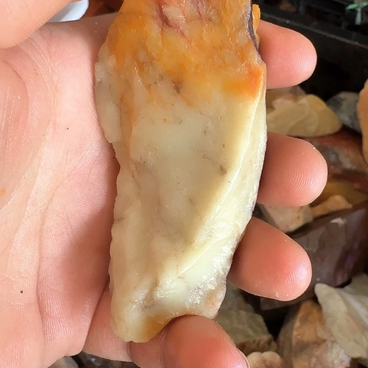 三***七寿山石寿山石的种类