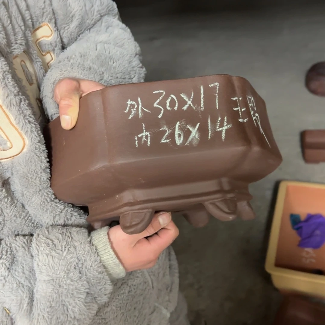 紫砂花盆彬*虎呜呜呜呜