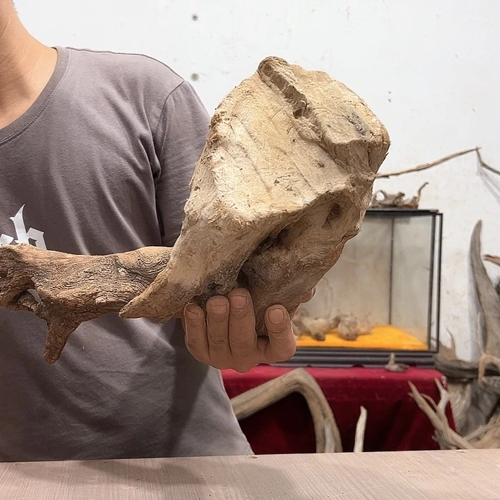 柏木崖***工我们的生活是以自己