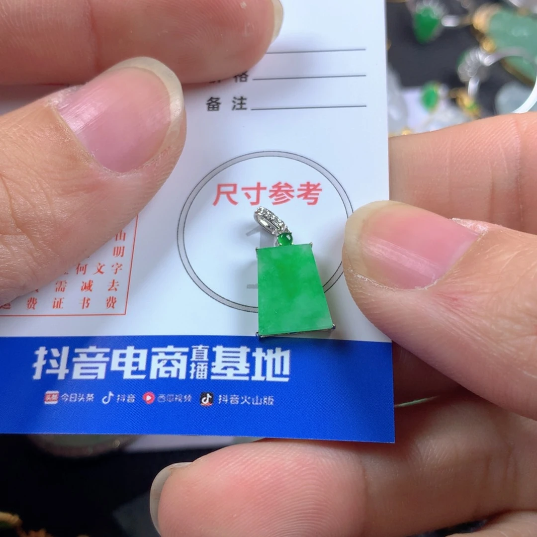 【闪购商品】翡翠颈饰18K金镶嵌安*翡翠