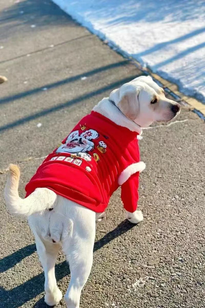 狗狗新年衣服冬季大型犬保暖冬装金毛过年喜庆拉布拉多蛇年衣服冬