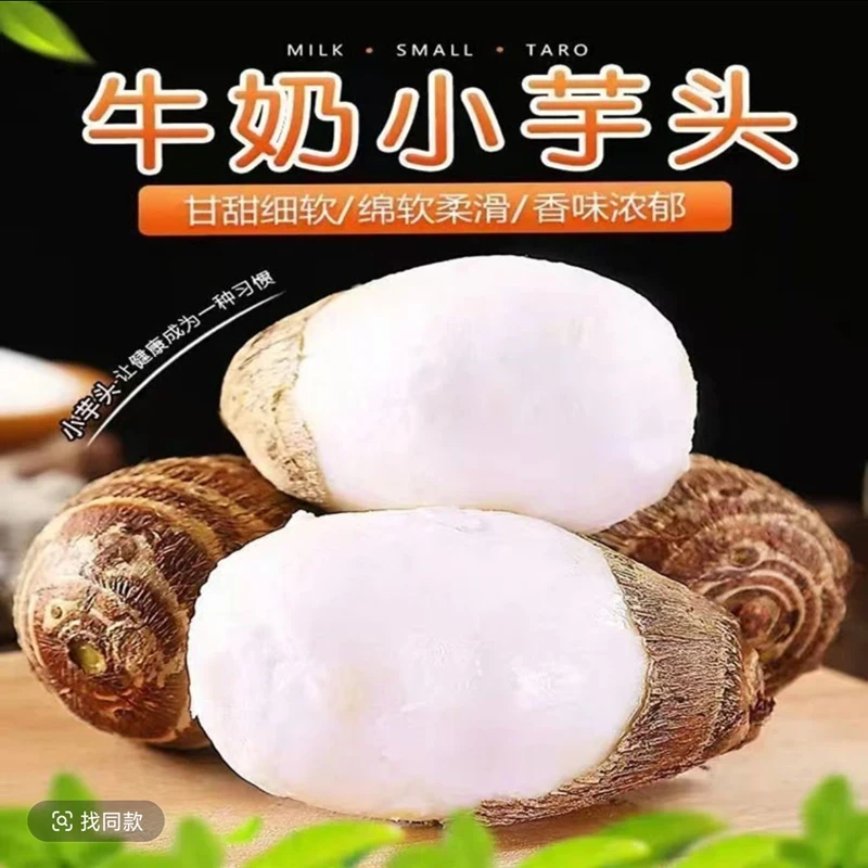 【主播推荐】贵州现挖新鲜小芋头牛奶毛芋头软糯粉香芋仔芋艿蔬菜