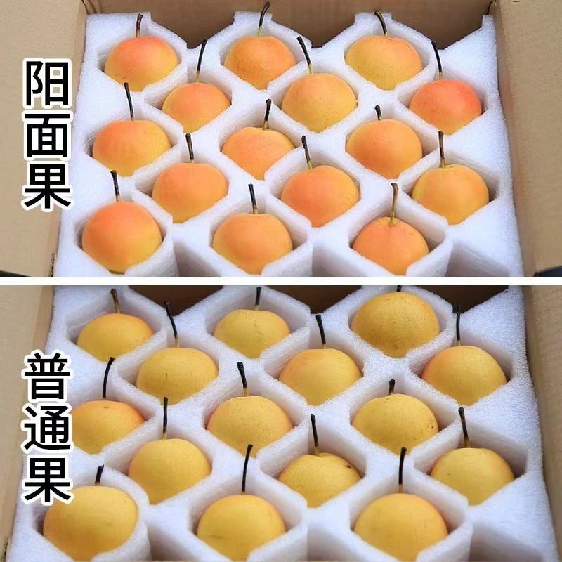 鞍山南果梨新鲜应季水果东北特产酒香软糯细腻多汁