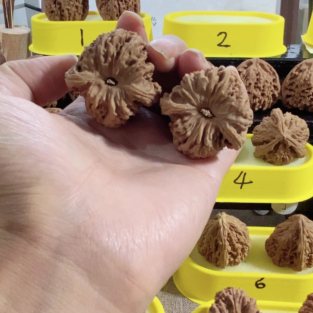 木质类奥迪三角对外