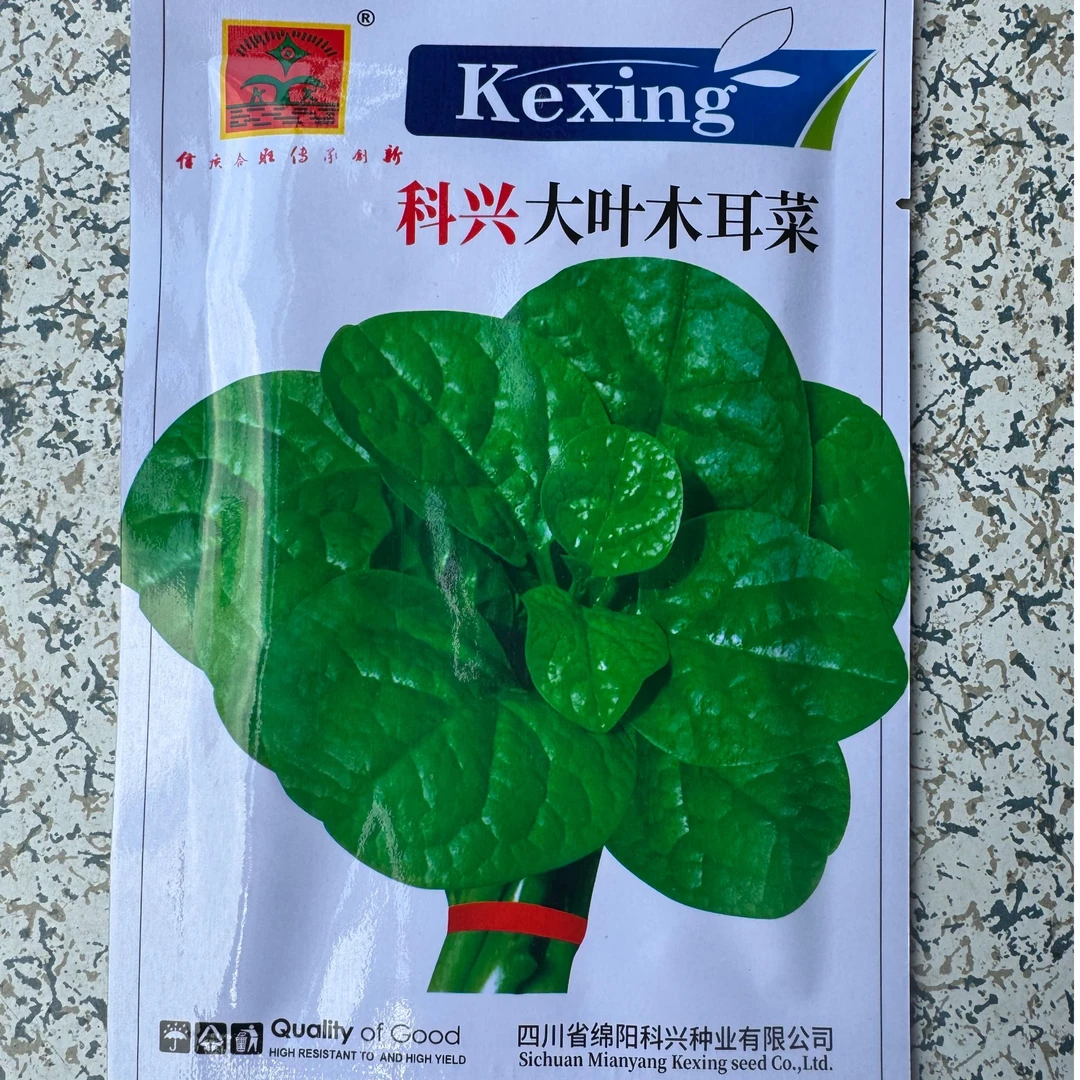 绵阳科兴大叶木耳菜