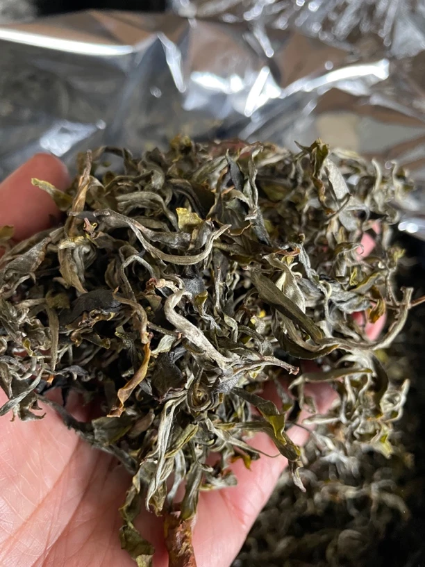 2025千家寨生茶（非核心区）头春头采 回甘持久耐泡
