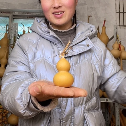 仲***阳天然植物葫芦文玩