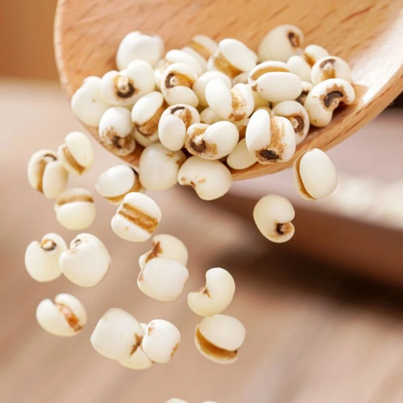 薏仁米 五谷杂粮大薏仁可煲汤煮粥蒸饭泡水