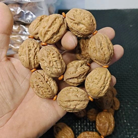 木质类纯野生山核桃     10