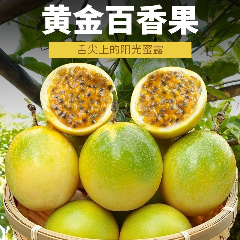 黄金百香果大果精选果