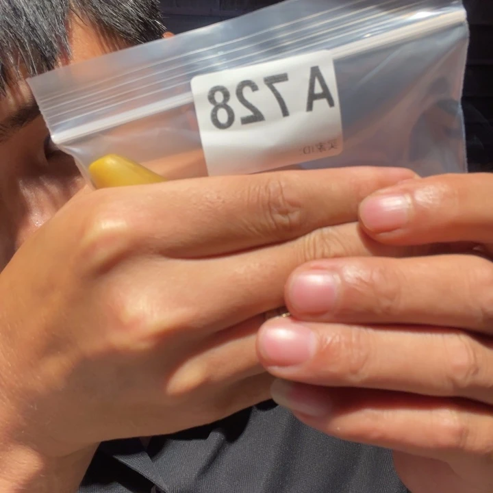 大叶紫檀（黑酸枝木类）728