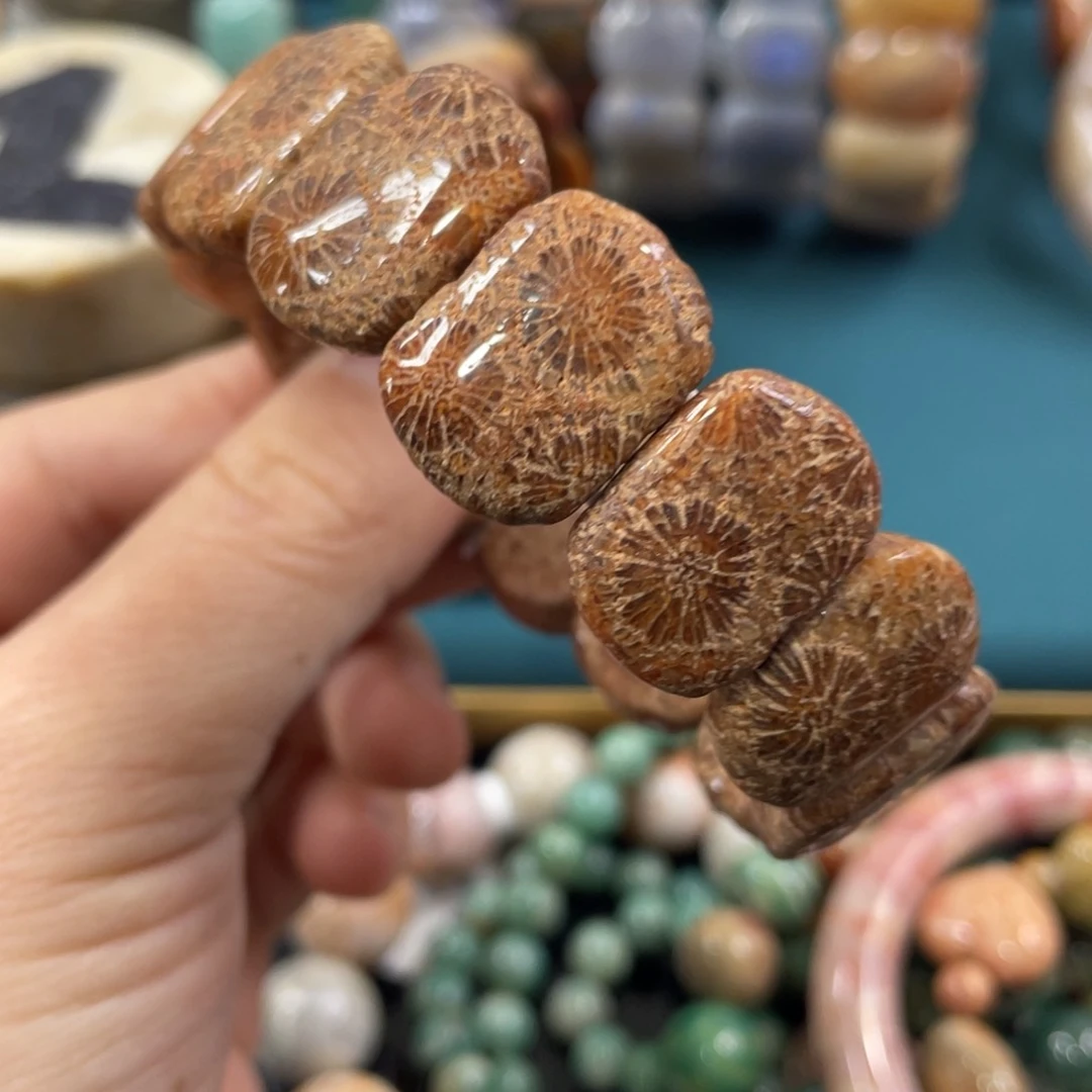 未镶嵌手镯硅化玉