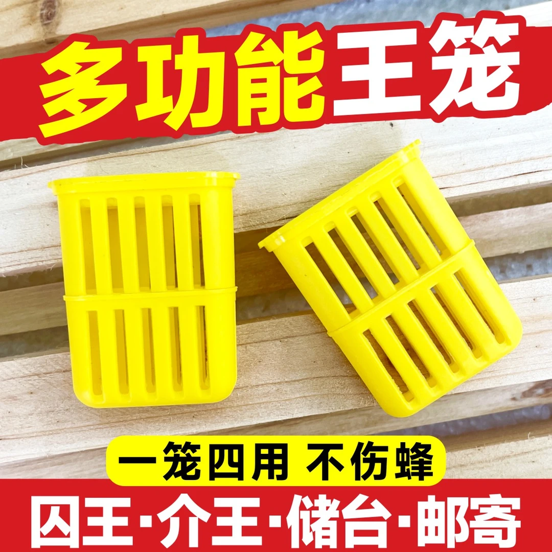 多功能中蜂囚王笼储存蜂王邮寄王笼可放王台育王储台器介王用王笼