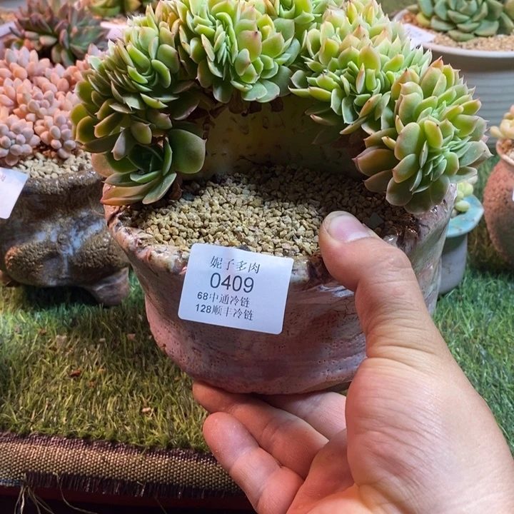 0409啊啊啊啊啊啊啊啊啊啊