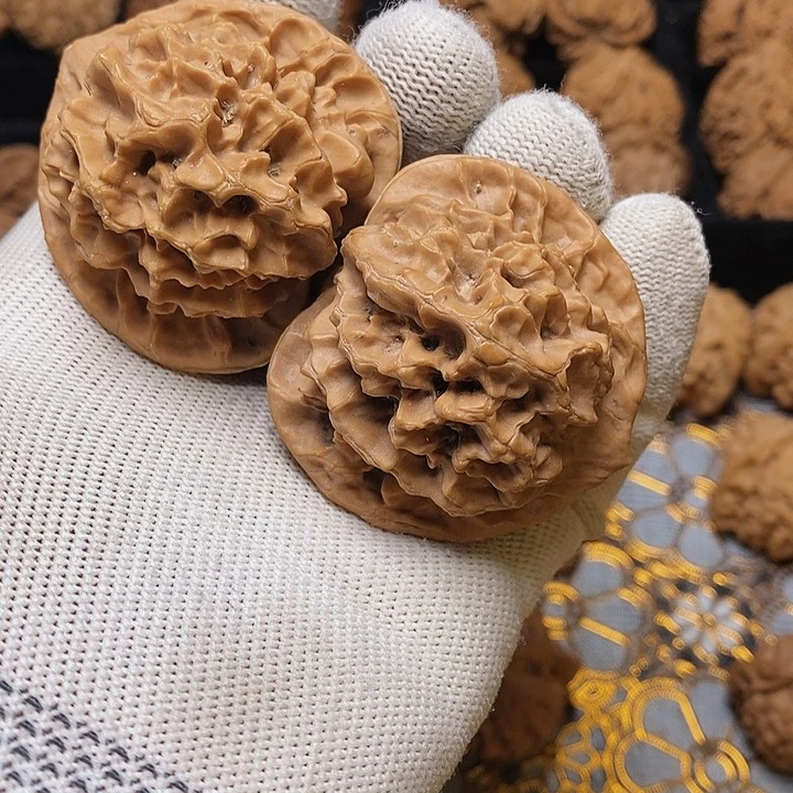 文玩核桃把件?****?秦岭野生大花