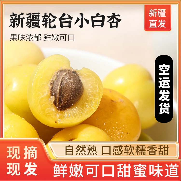 【空运包邮】新疆轮台小白杏新鲜水果当季杏子新疆直发2斤/3斤