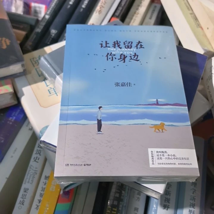 让我留在你身边塑封全新