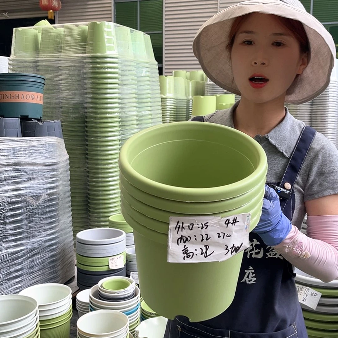 四季盆4#果绿色8个无托