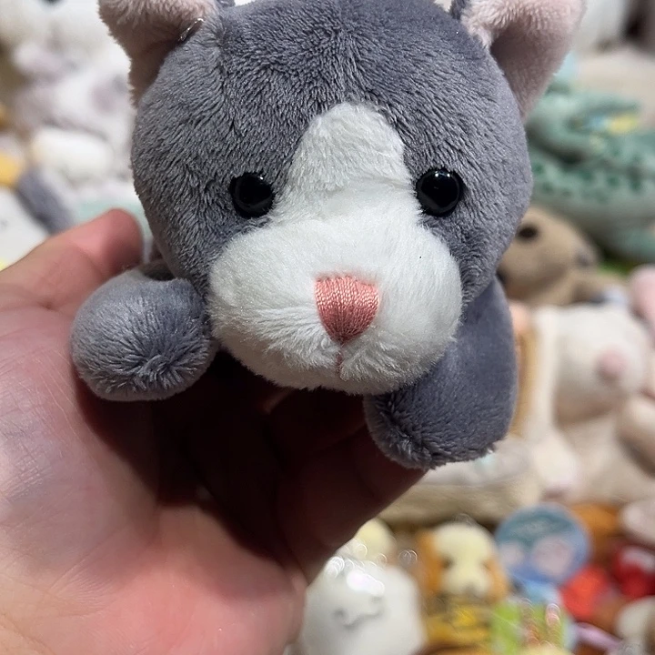 毛绒豆袋哈哈哈哈