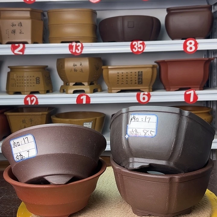 花盆紫砂你在一起