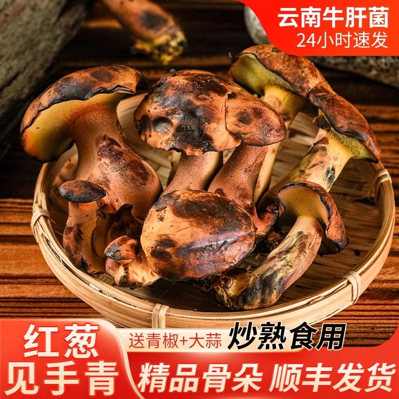 见手青新鲜云南野生菌新鲜红葱牛肝菌见手青白黄牛肝变色蘑菇菌子