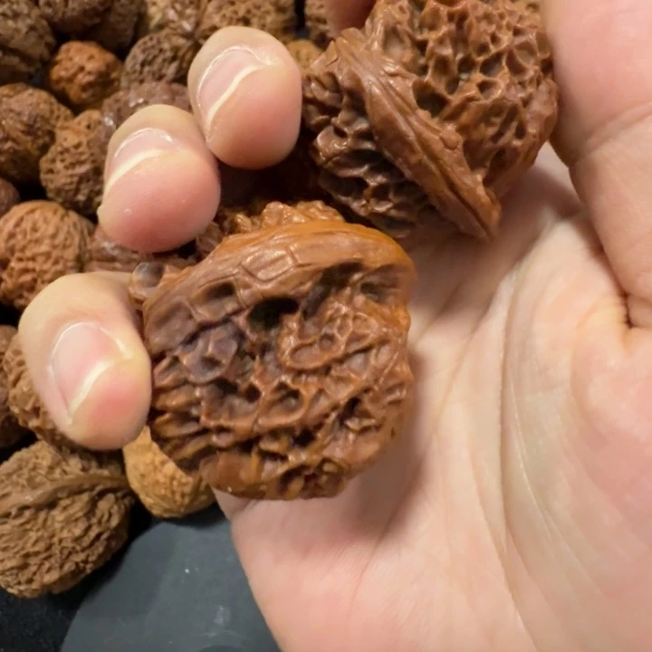 万***通文玩核桃仁和我们的