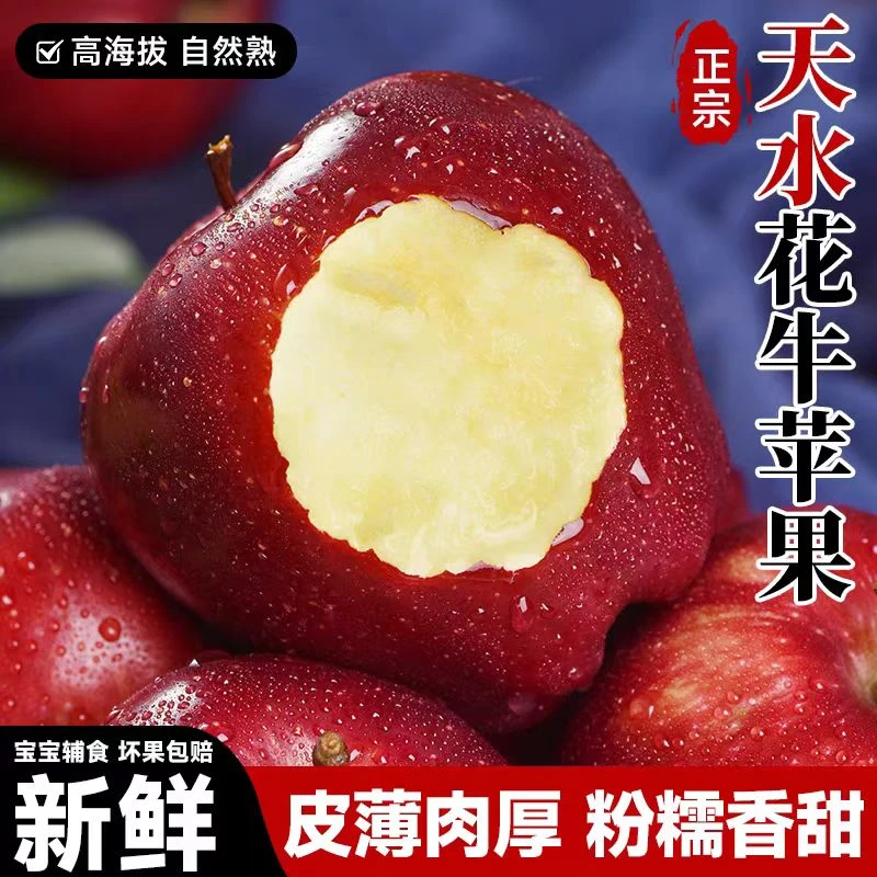 【脆粉两吃】甘肃天水高山老树花牛苹果当季新鲜苹果香甜多汁多仓发