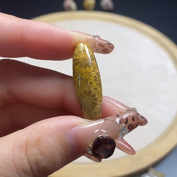 硅化珊瑚（珊瑚玉）未镶嵌颈饰