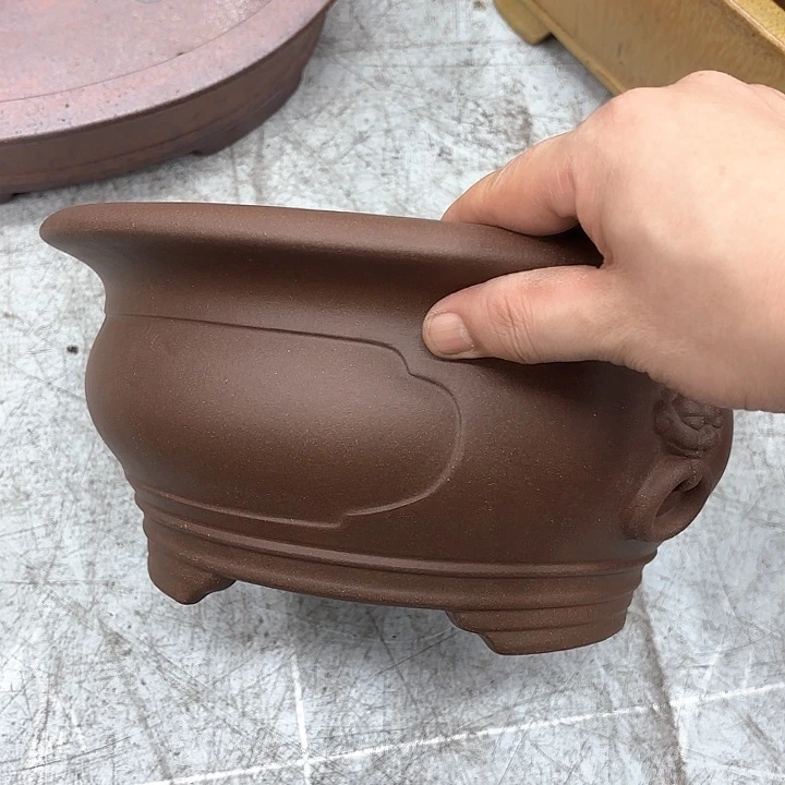 紫砂花盆紫砂的花是一