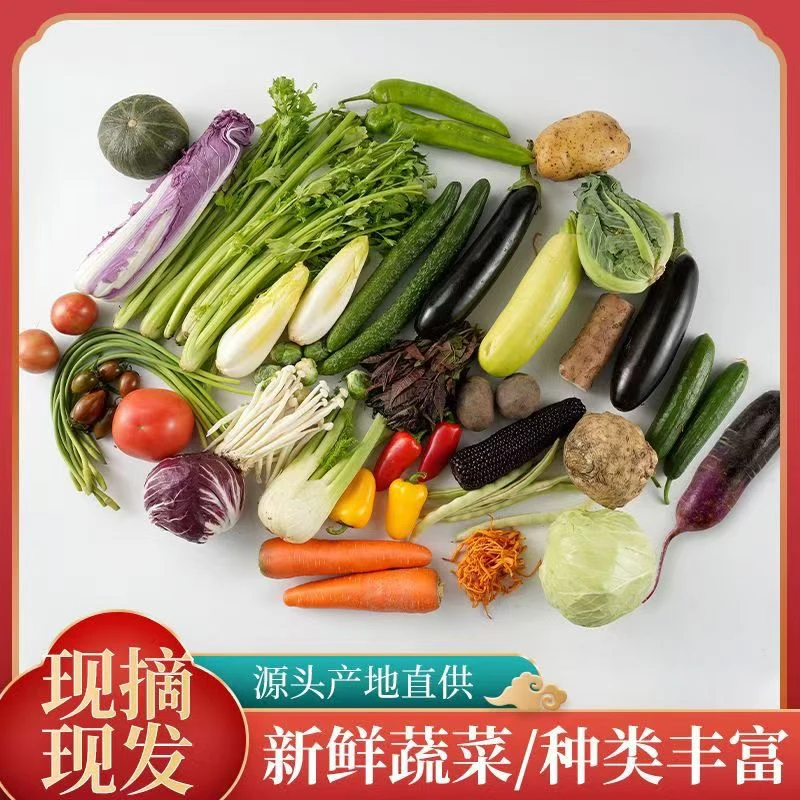 【紫皮长茄无筋豆组合装】云南高山露天种植蔬菜农家自种现摘现发
