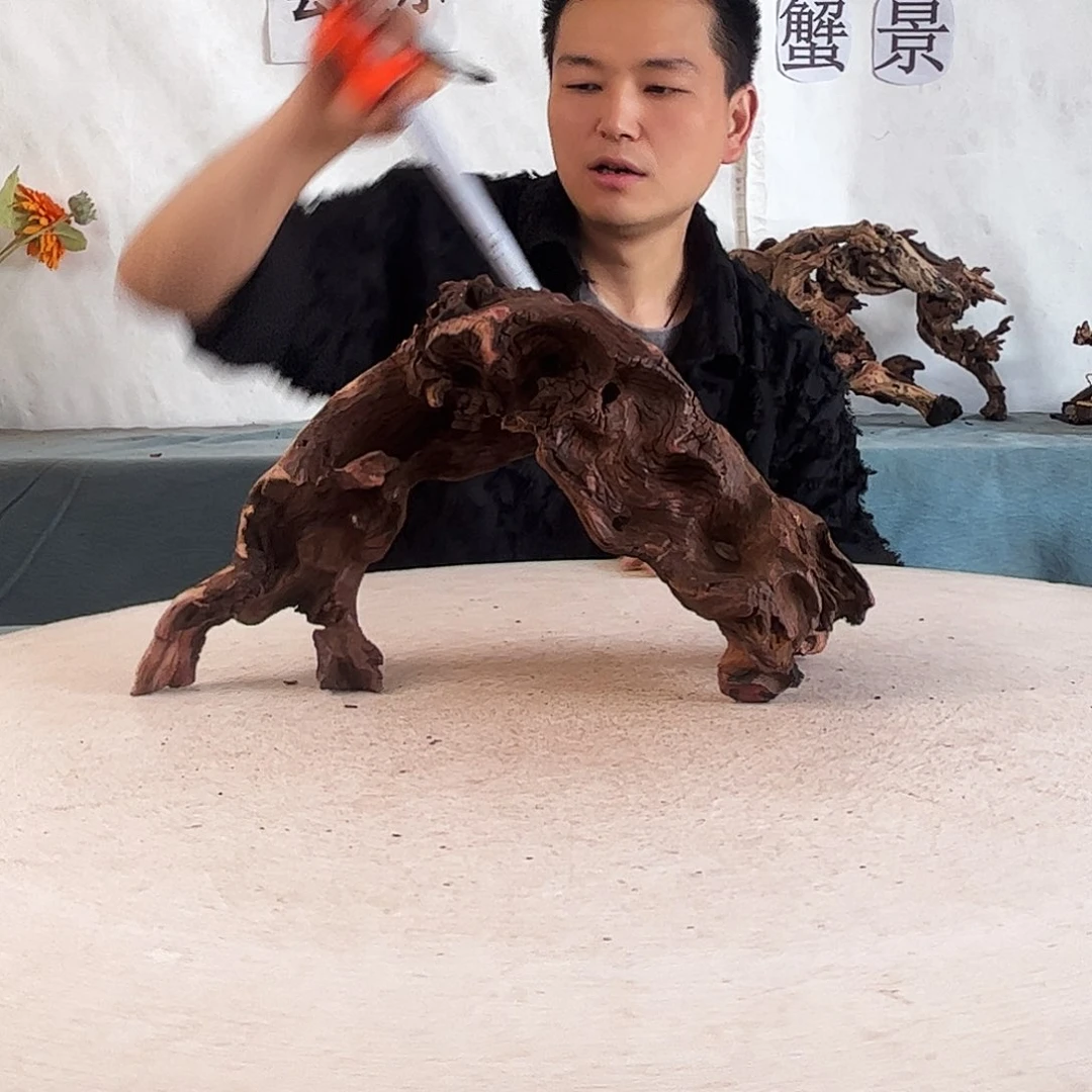 40.22.12 沉木造景爬宠造景