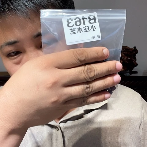 【闪购商品】石英石铁合金163