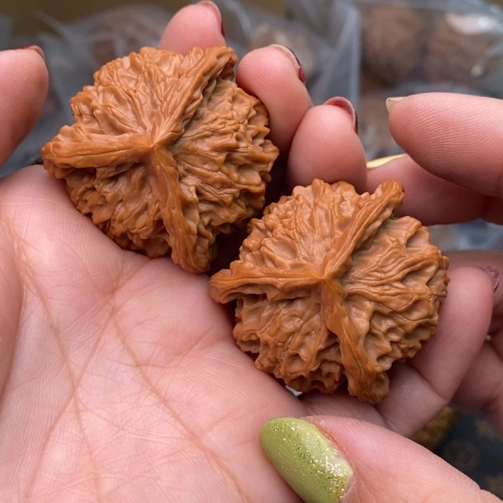 核桃盘山三棱41尺核桃