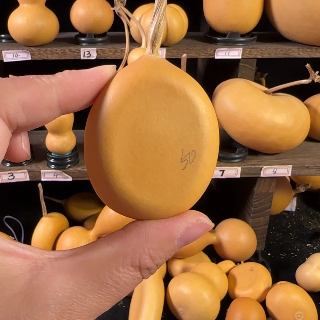 A****葫芦葫芦葫芦葫芦葫芦葫芦葫芦葫芦