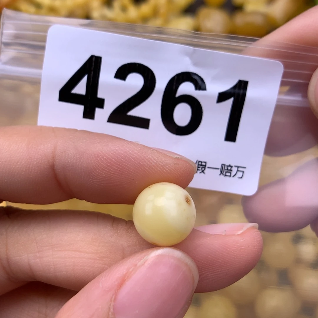 未镶嵌蜜蜡珠宝奇石11.3
